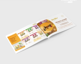 Mẫu Thiết kế Catalogue 04