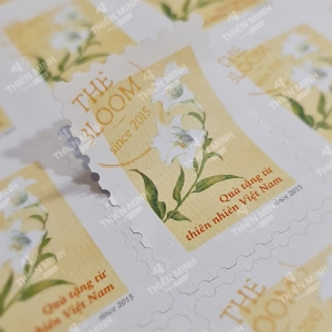 cac-loai-sticker-pho-bien-hien-nay-va-cach-lua-chon-phu-hop