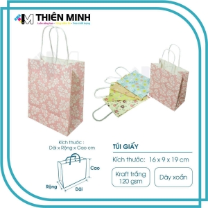 dia-chi-in-tui-giay-gia-re-uy-tin-top-1-tphcm-in-an-thien-minh