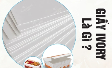 Giấy Ivory Là Gì? Khám Phá Ưu Điểm & Ứng Dụng Trong In Ấn