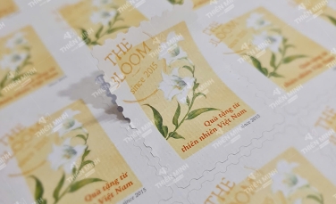 Các loại sticker phổ biến hiện nay và cách lựa chọn phù hợp