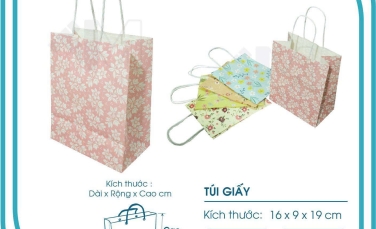 Địa chỉ in túi giấy giá rẻ, uy tín top 1 TPHCM - In Ấn Thiên Minh