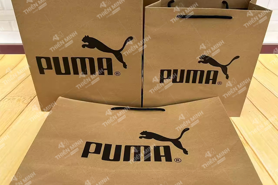 địa chỉ in túi giấy giá rẻ