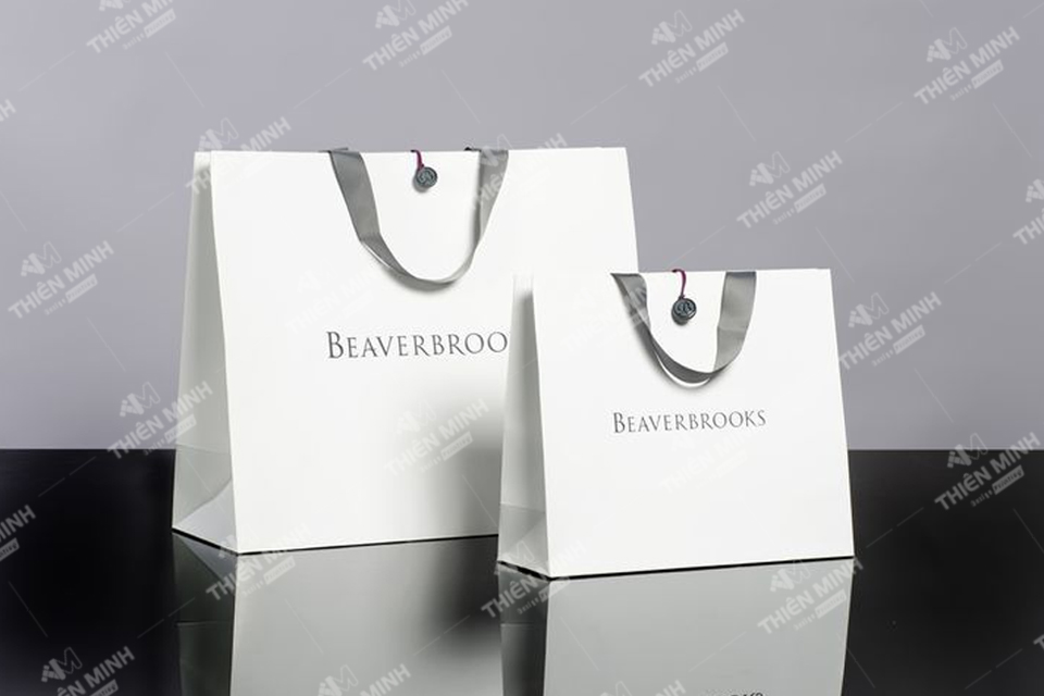 Mẫu túi giấy đựng quà