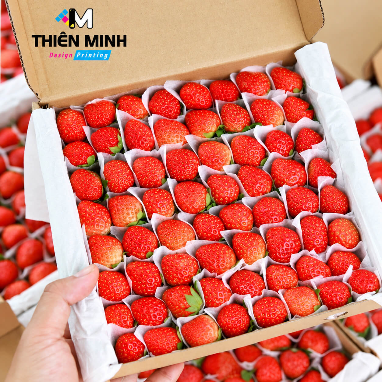 hộp giấy đựng trái cây